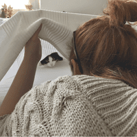 guérisseur animaux : surprises durant le soin