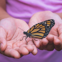qu'est-ce qu'une flamme jumelle : une transformation