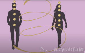 fusion flammes jumelles 3D