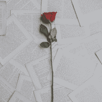 peur de l'amour : 5 conseils