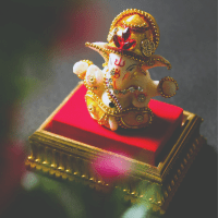surprises du soin ganesh